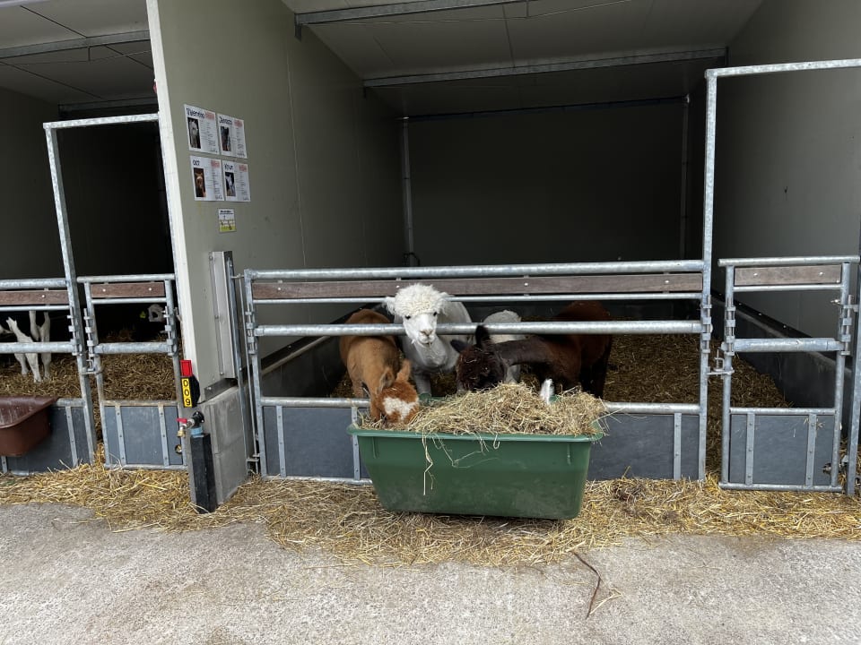 Sonstiges Ferienhof & Camping Zur Hasenkammer