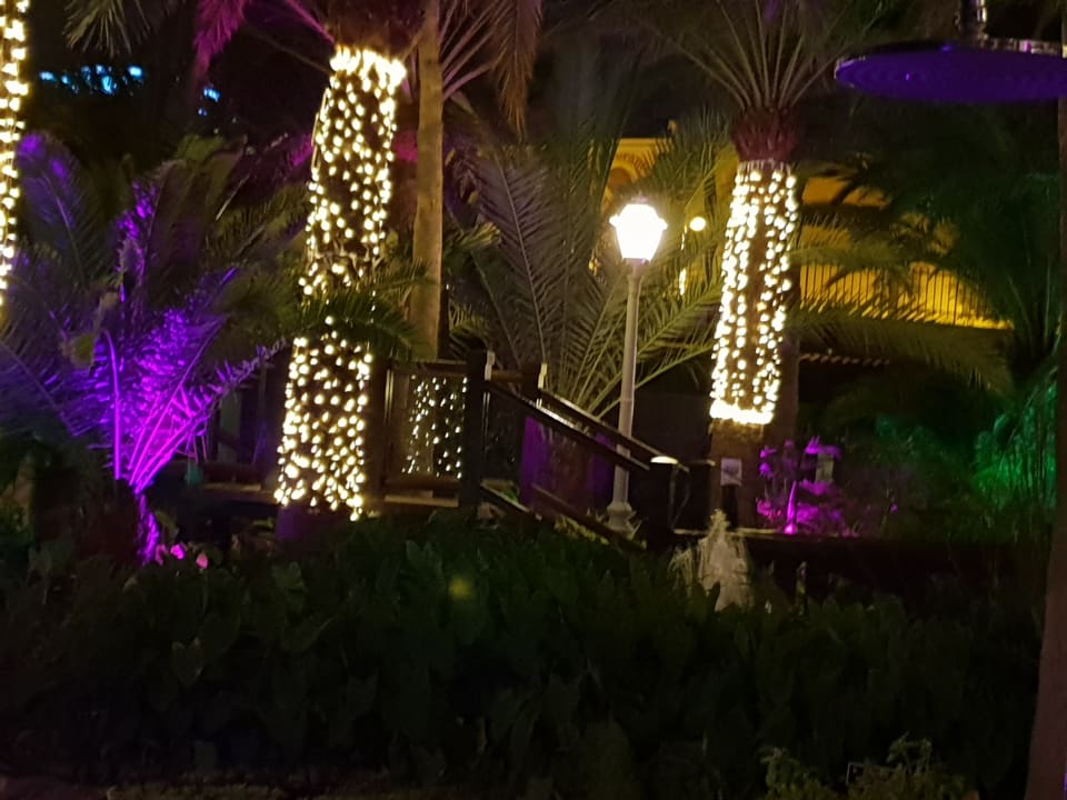 Gartenanlage Hotel Parque Tropical