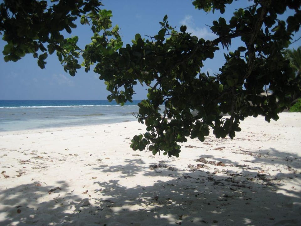 Strand Presidential Suite Hilton Seychelles Labriz Resort & Spa
