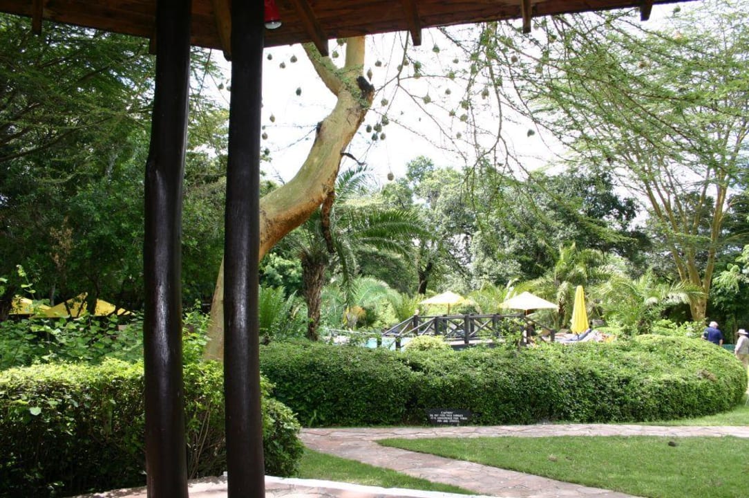 Gartenalge Hotel Mara Sarova Camp