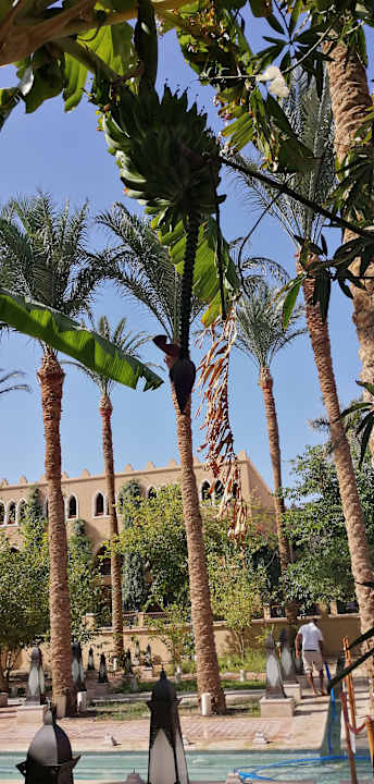 Außenansicht Makadi Spa - Adults only