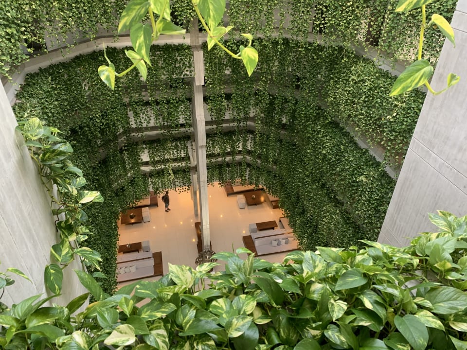 Gartenanlage Hipotels Mediterraneo