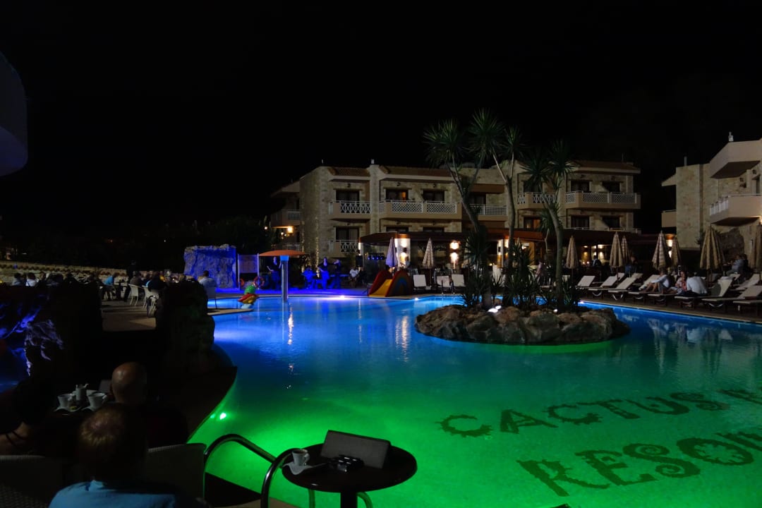 Griechischer Abend Cactus Royal