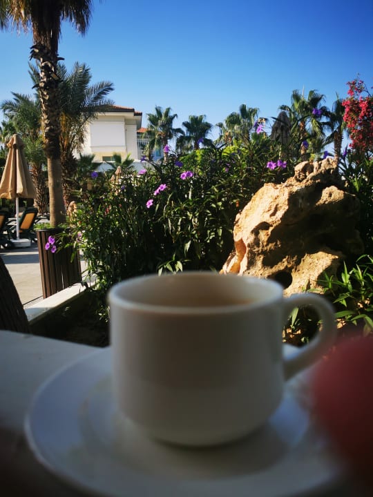 Gastro Alba Queen Hotel