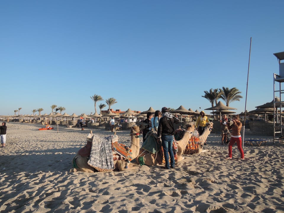 El Malikia Abu Dabbab Resort Marsa Alam Malikia Resort Abu Dabbab