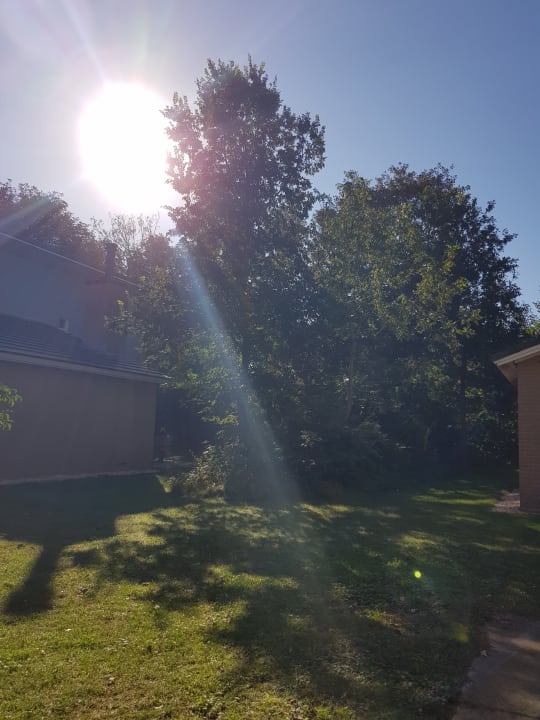 Gartenanlage Roompot Vakantiepark Kijkduin