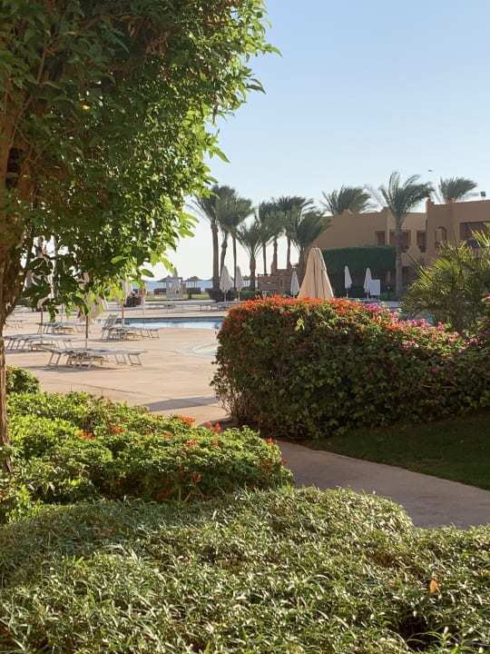 Gartenanlage Stella Beach Resort & Spa Makadi Bay