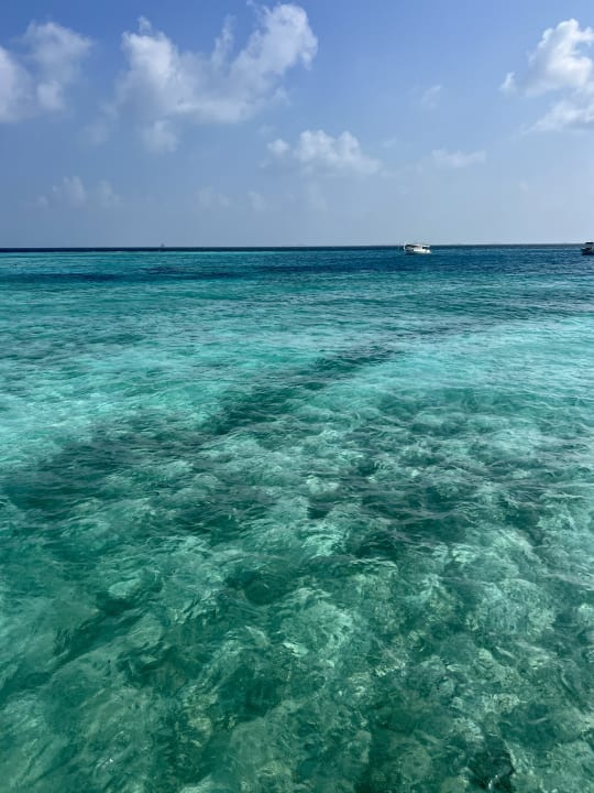 Ausblick Baros Maldives Resort