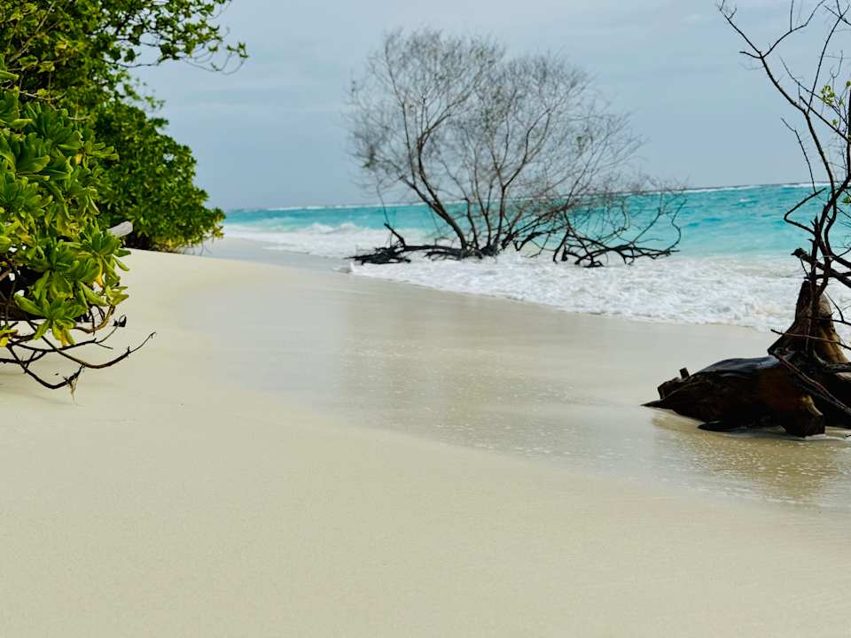 Strand Ifuru Island Maldives