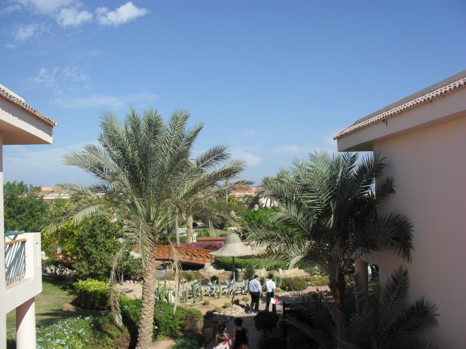 Ogród Parrotel Beach Resort