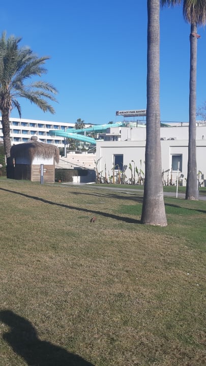 Gartenanlage Mirage Park Resort