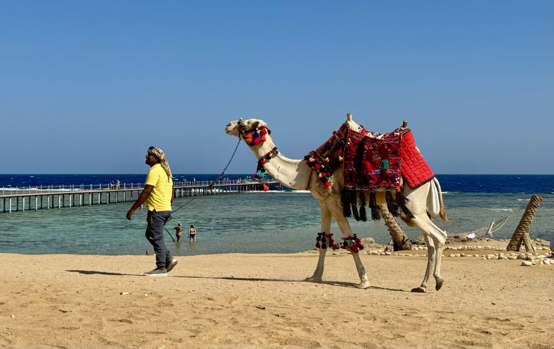 Strand Three Corners Happy Life Beach Resort