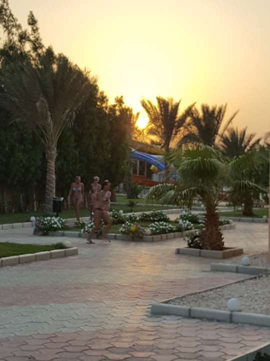 Gartenanlage Three Corners Sea Beach Resort