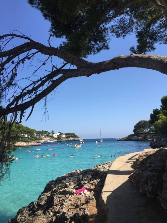 Einfach nur traumhaft... Grupotel Rocador