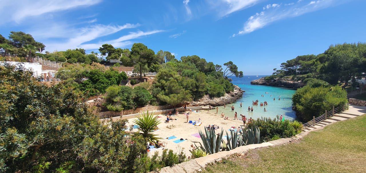 Strand Calimera Fido Gardens