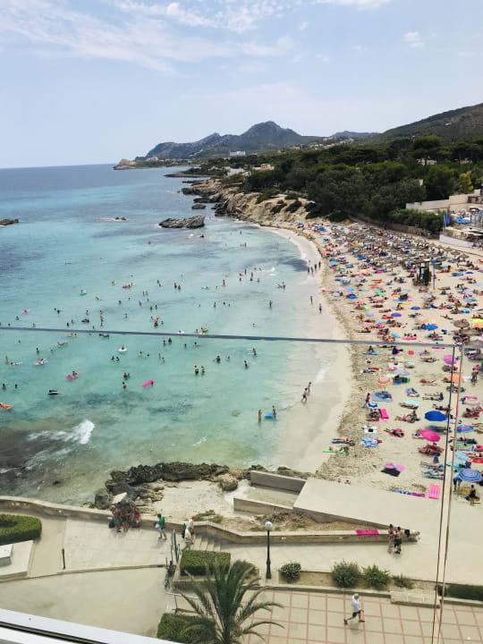 Zimmer Son Moll Sentits Hotel & Spa