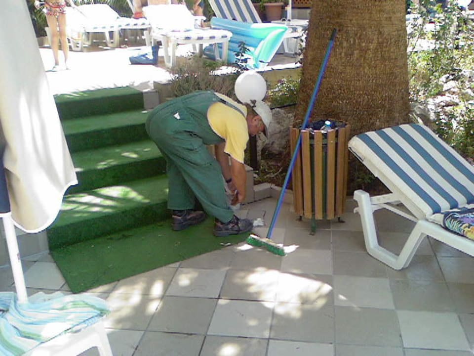 Entsorgung der Ratte Hotel Kalithea Mare Palace