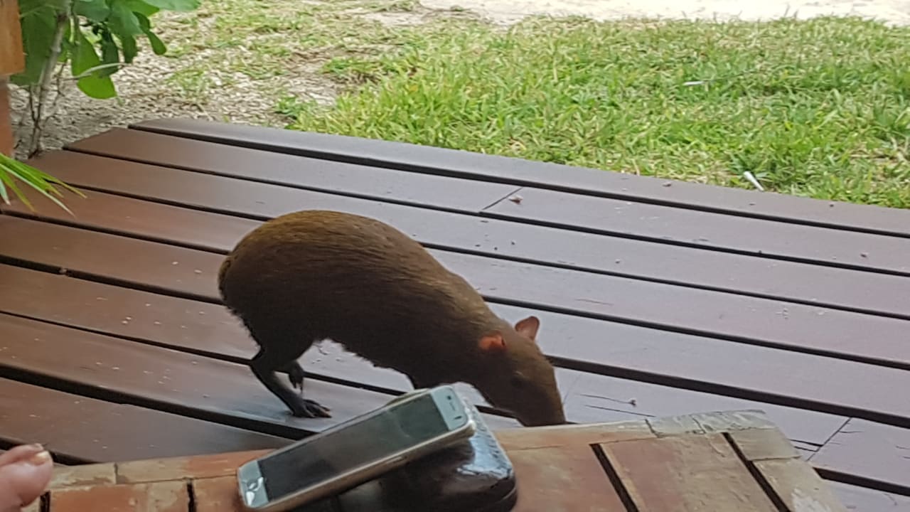 Zimmer Akumal Bay Beach & Wellness Resort