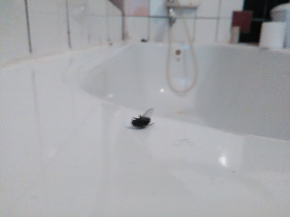 Zimmer Hotel Galéria