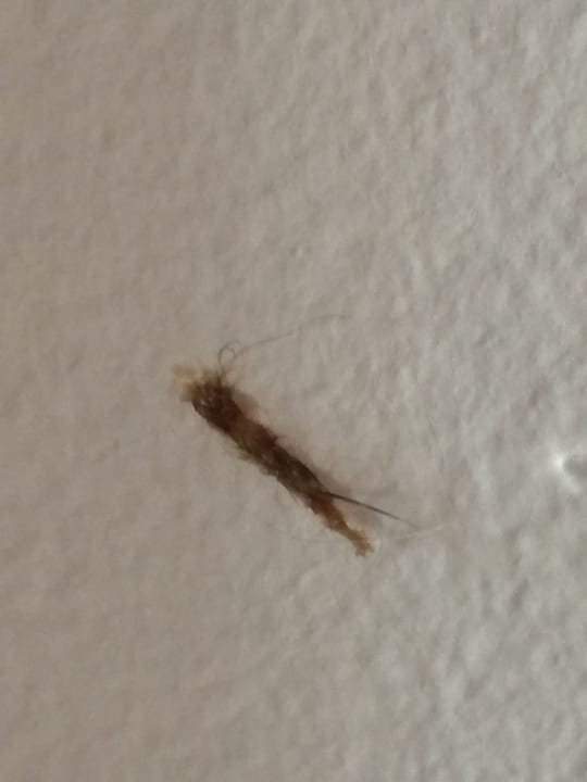 Zimmer Hotel W.A. Mozart