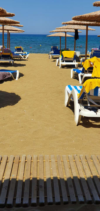 Strand allsun Hotel Carolina Mare