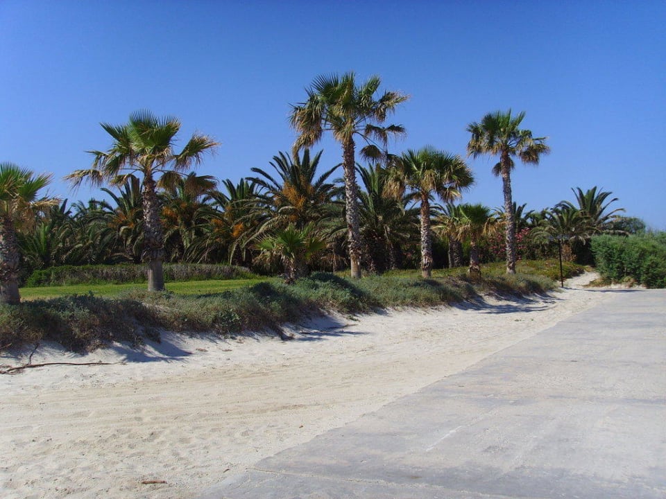 Am Strand Caravia Beach Hotel