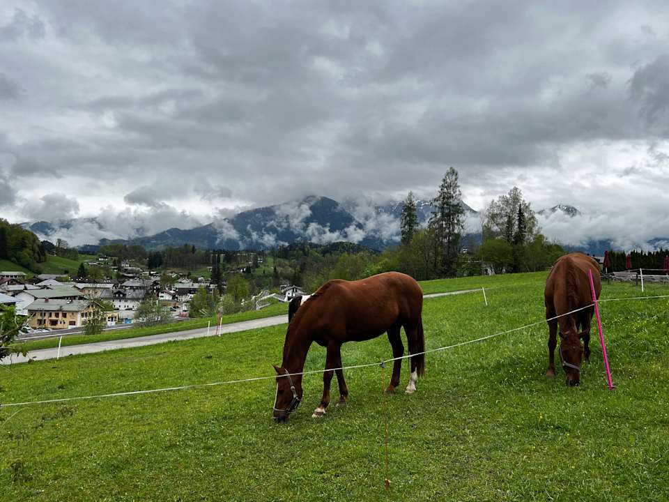 Ausblick Naturhotel Reissenlehen
