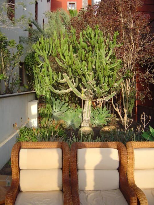 Lieblingsplatz zum Lesen Gran Tacande Wellness & Relax Costa Adeje