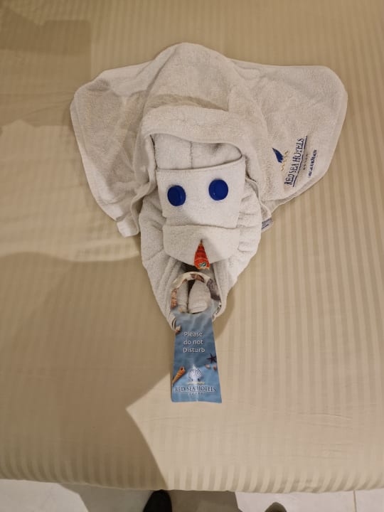 Zimmer The Grand Palace - Adults only