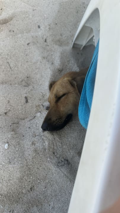 Strand Radisson Blu Poste Lafayette Resort & Spa - Adults only