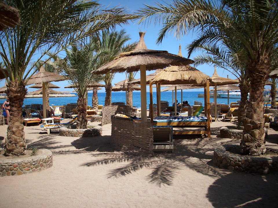 Am Strand Beach Albatros Resort