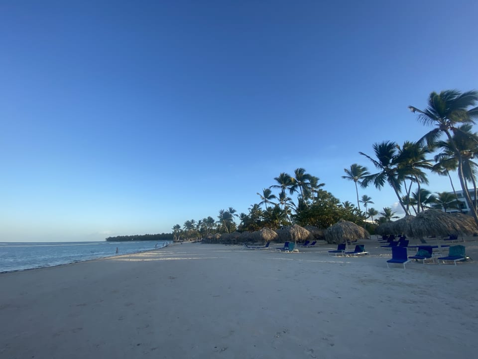 "Coco Loco Cocktail" Serenade Punta Cana Beach & Spa resort (Punta Cana