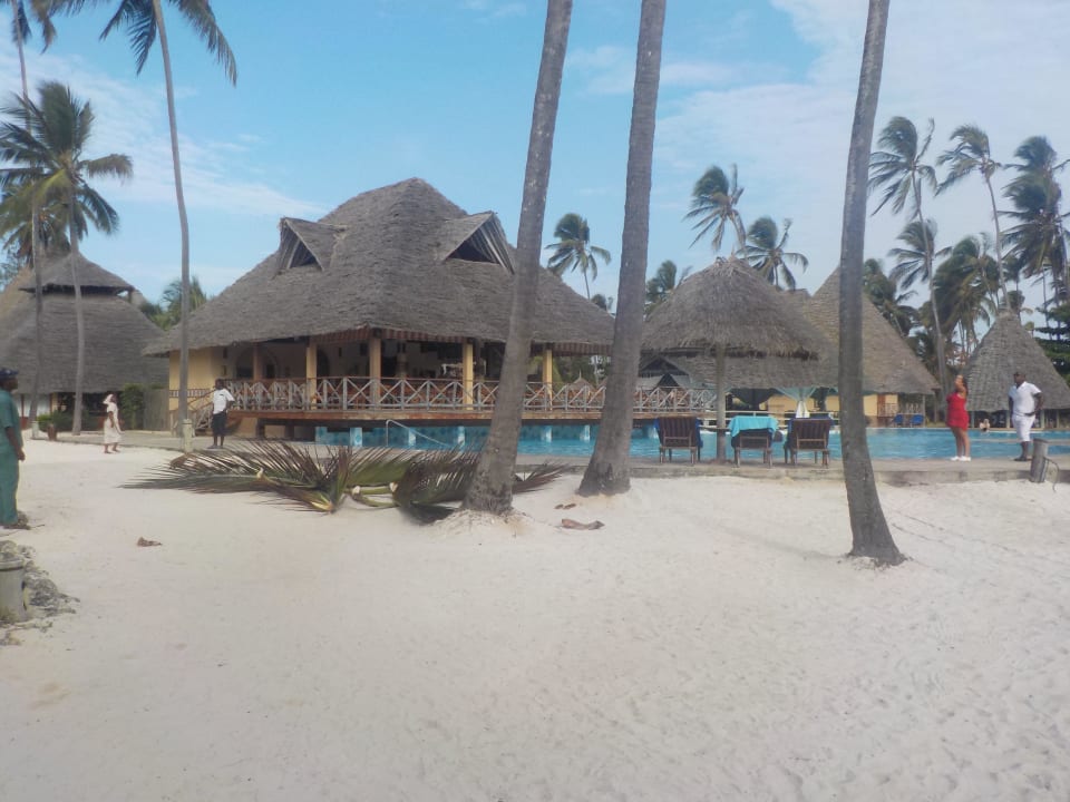 Besetigung von alten Palmenblättern Neptune Pwani Beach Resort & Spa