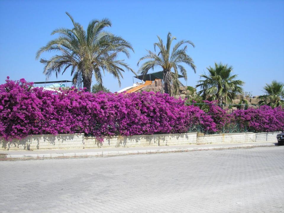 Weg vom Hotel zum Strand Hotel Orfeus Park