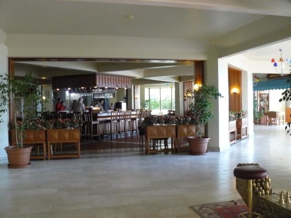 Bacherusbar PALOMA Perissia