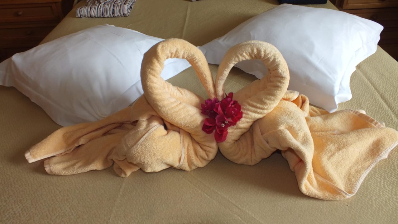 Schwanenmotiv Hotel Riu Palace Tenerife