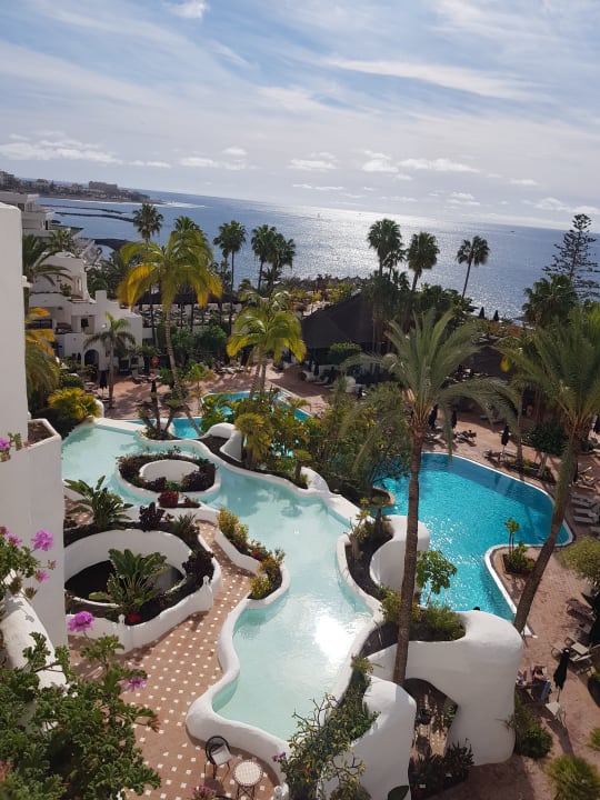 Pool Dreams Jardín Tropical