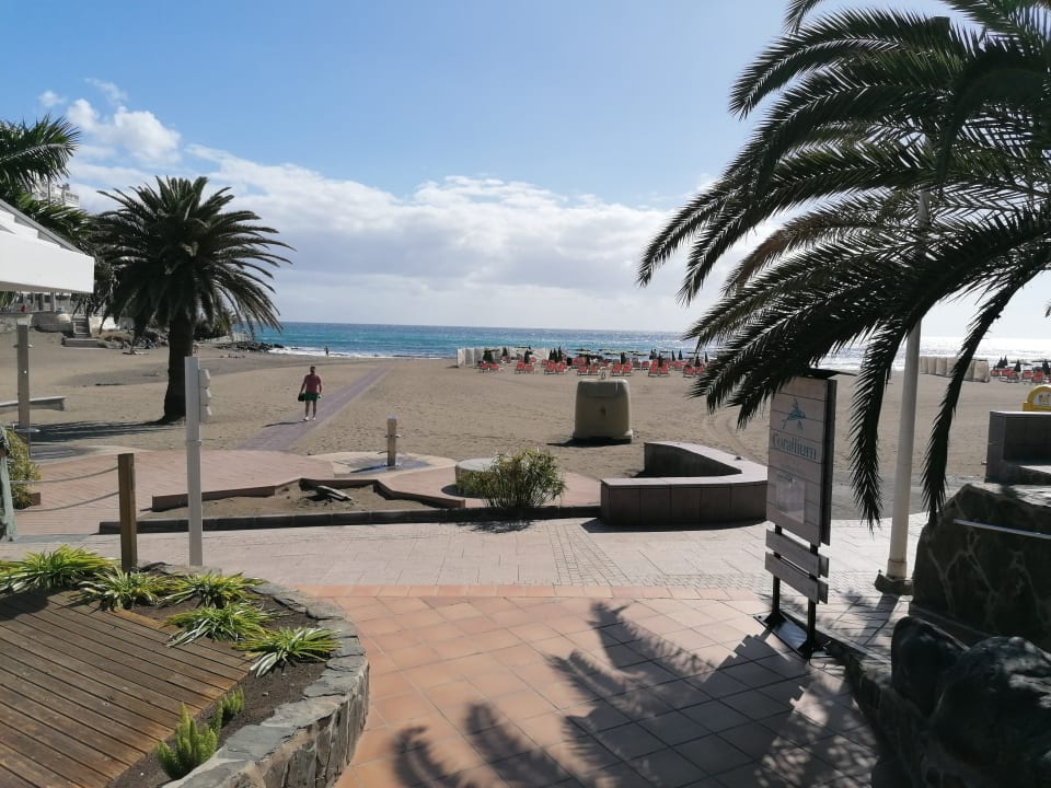 Strand Corallium Beach by Lopesan Hotels - Adults only