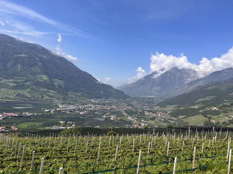 Ausblick Hotel Paradies