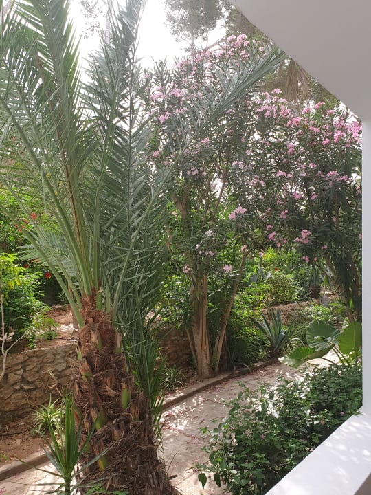 Gartenanlage Hotel Osiris