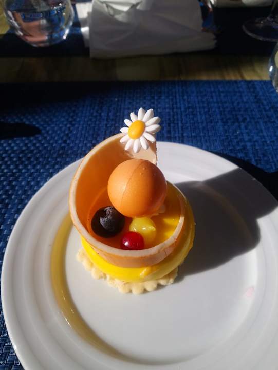 Gastro Acanthus Cennet Barut Collection