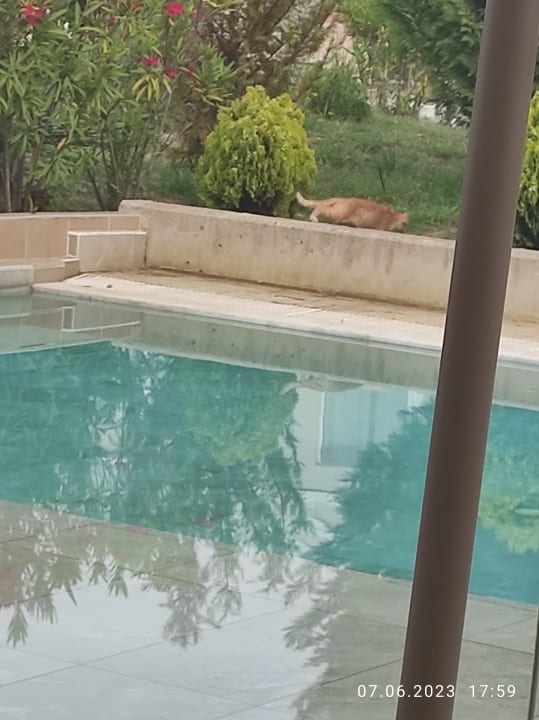 Zimmer Sandy Villas Resort