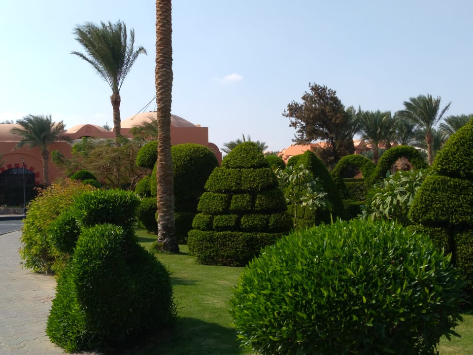 Garten Jaz Makadi Oasis Resort