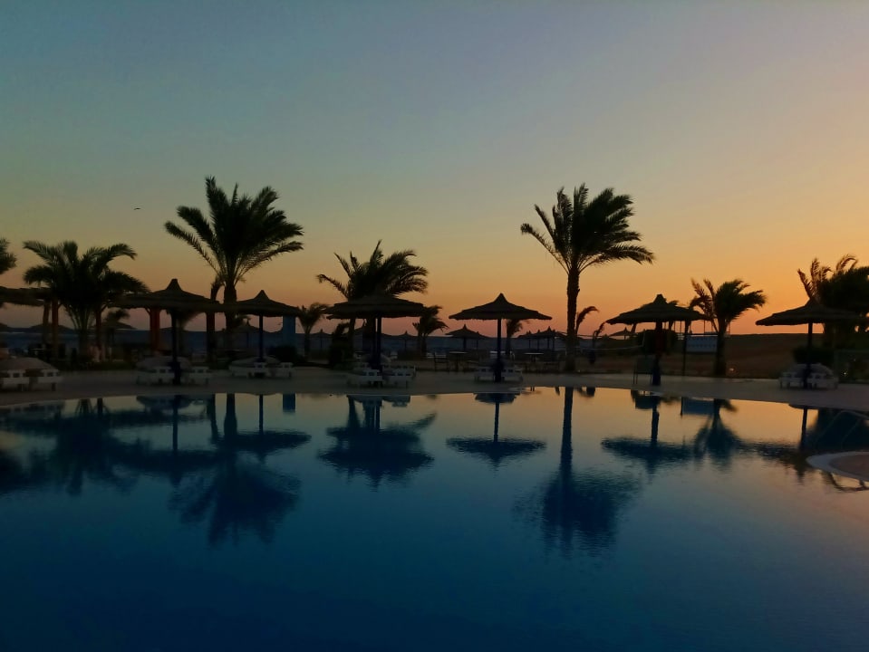 Pool Coral Sun Beach