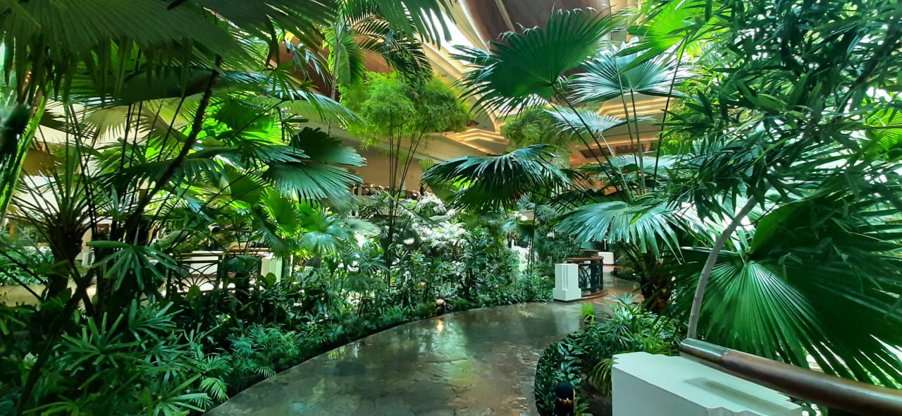 Lobby Grand Hyatt Dubai