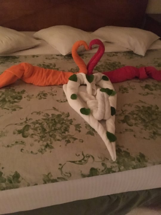 Zimmer Ghazala Gardens