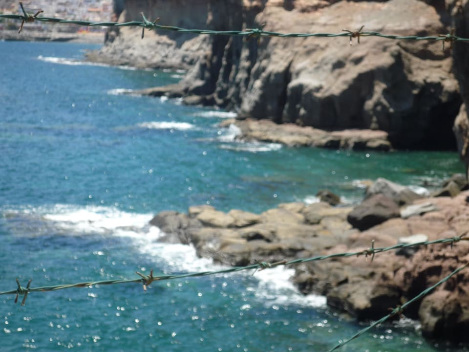 Zaun zum Schutz Princess Taurito