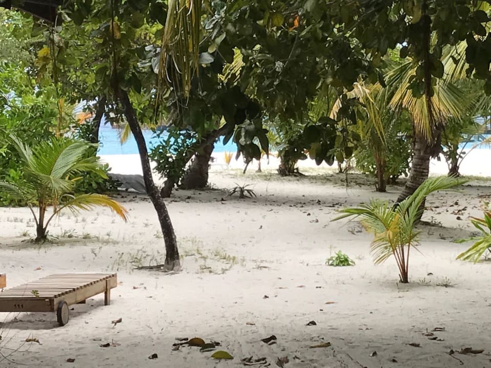 Gartenanlage Adaaran Select Meedhupparu Island Resort - Premium All Inclusive