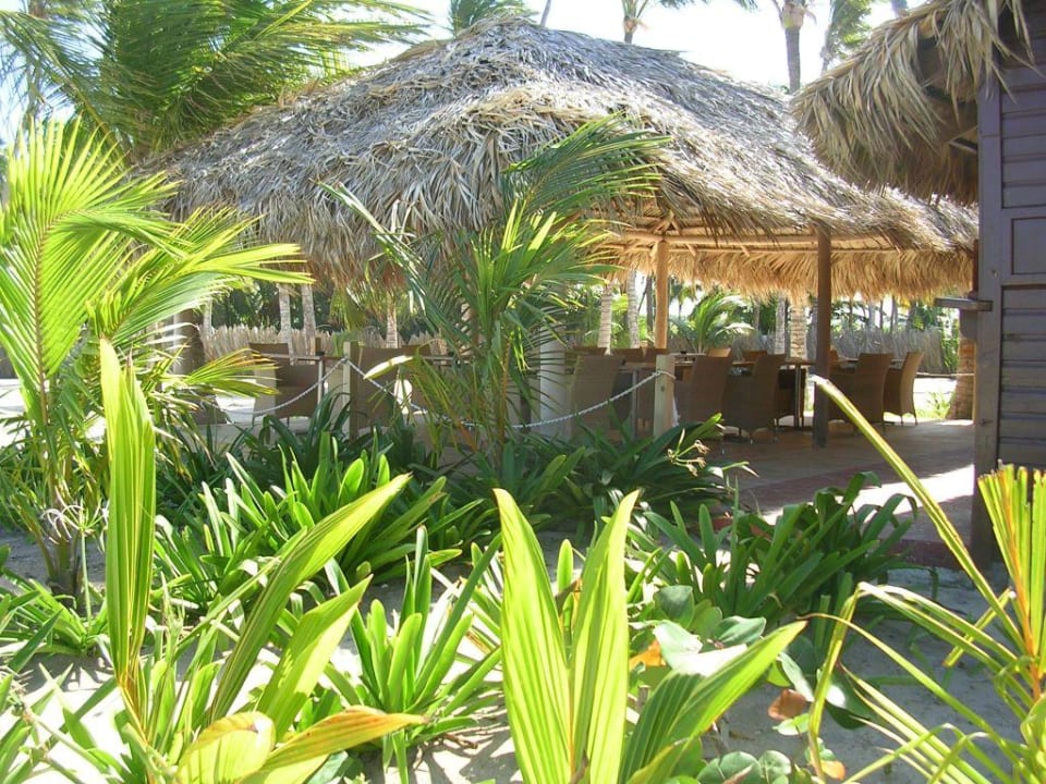 Royal Catalonia Strandbar Catalonia Punta Cana - All Inclusive