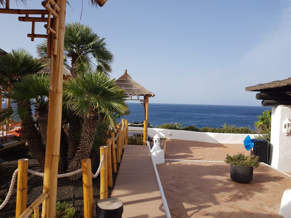 Gartenanlage Dreams Jardín Tropical